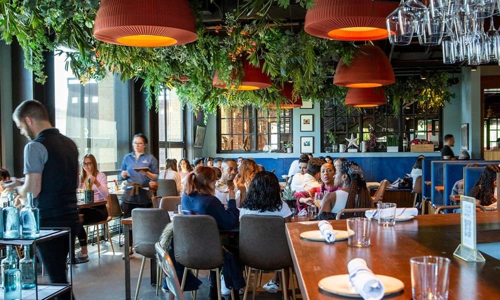 Preparando seu Restaurante para Publicação